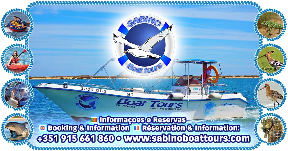 Sabino Boat Tours