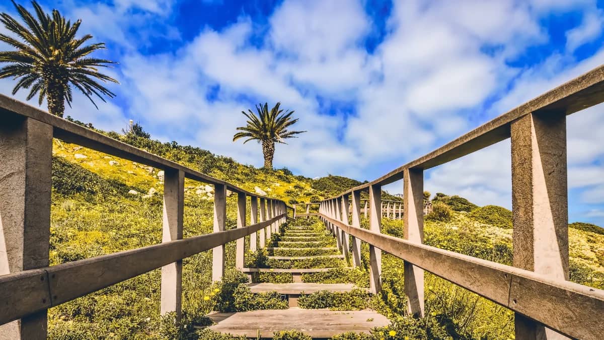 Aventura Buggy Algarve
