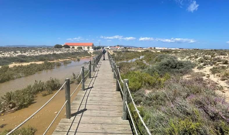 Culatra Beach - Praia da Culatra